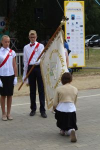 sielec19.JPG