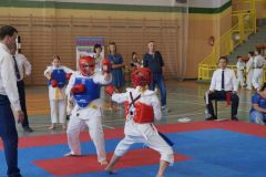 _DSC0080.JPG
