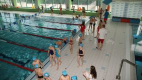 DSC02782.jpg