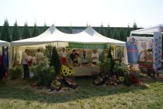DSC08077.jpg