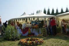 DSC08079.jpg