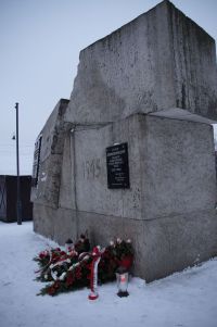 _DSC2350.jpg