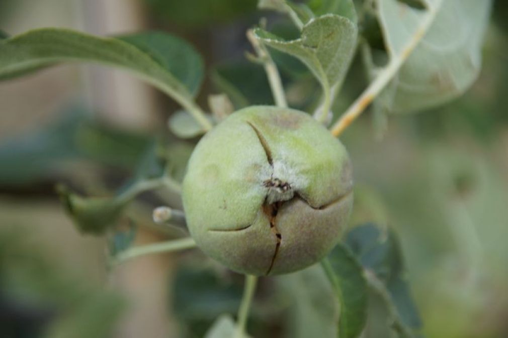 Pomoc, zapobieganie i interwencja