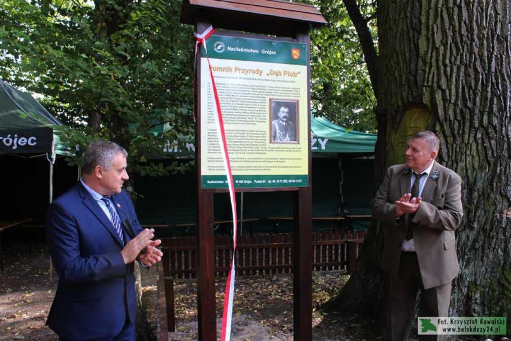 Dąb Piotr z pamiątkową tablicą