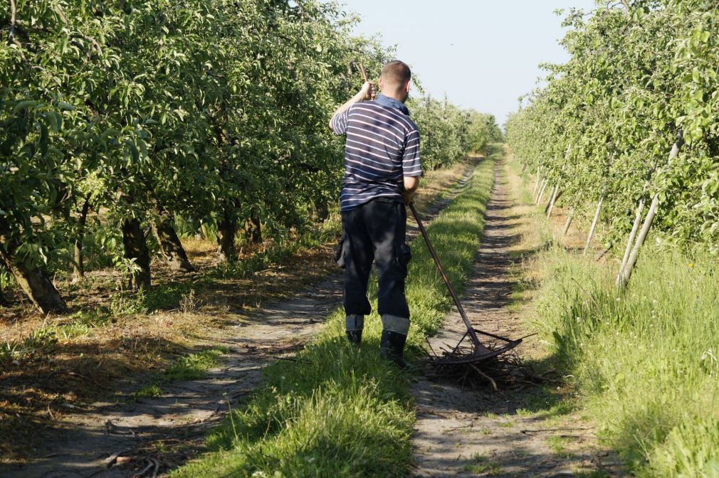 Pracownik z Ukrainy na wagę złota