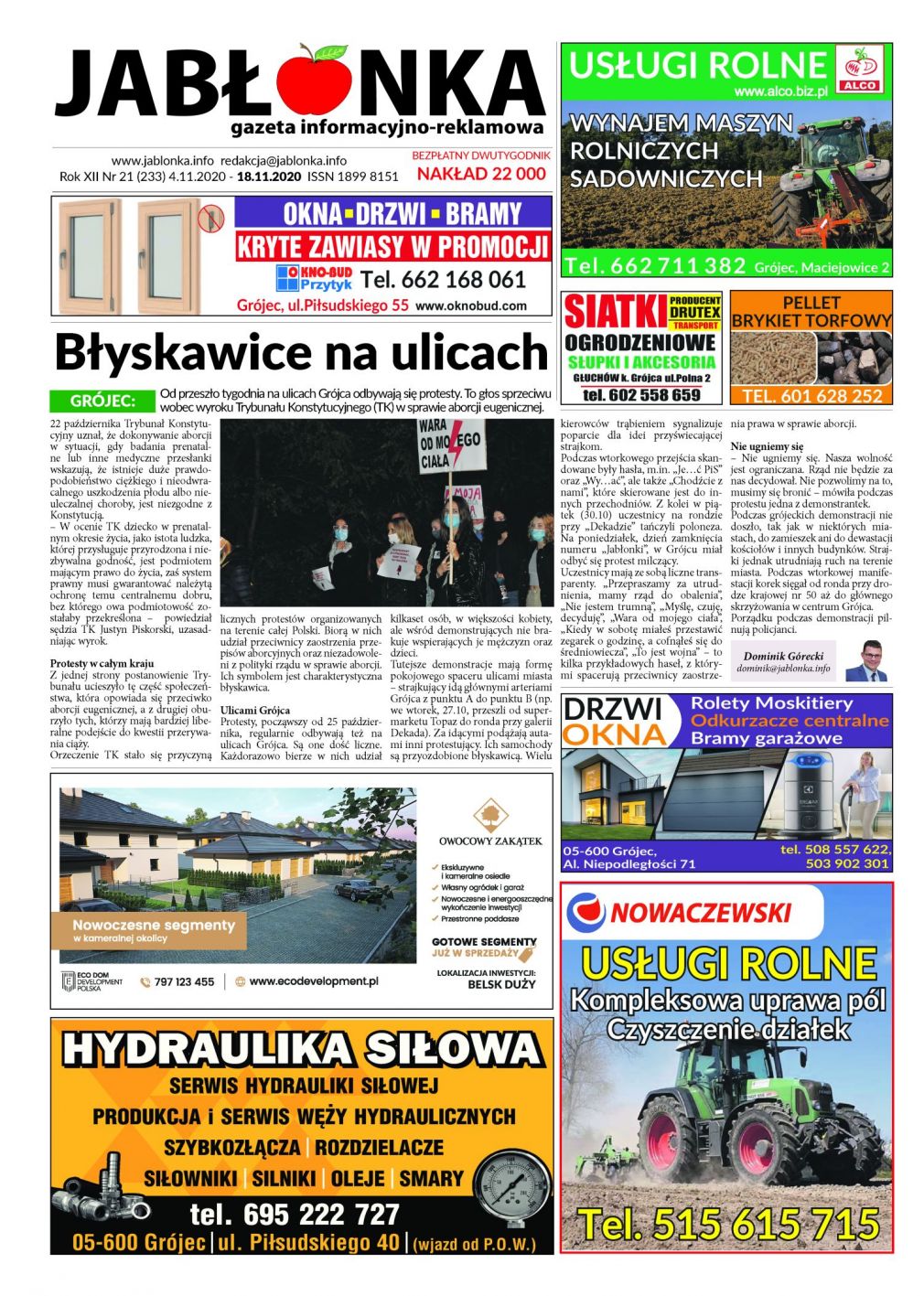 Gazeta nr 233 z dn. 04.11.2020