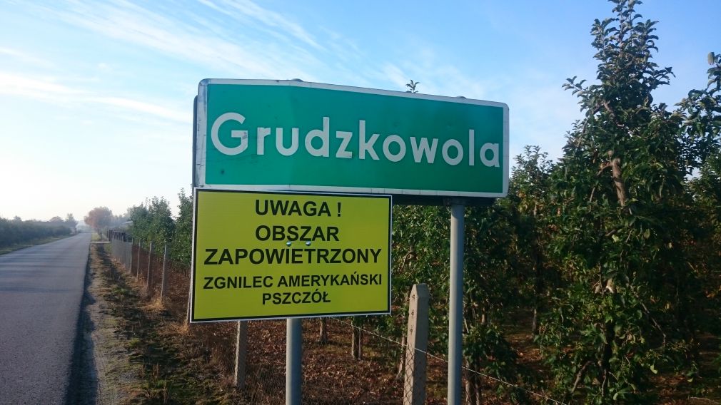 Pszczoły pod specjalnym nadzorem