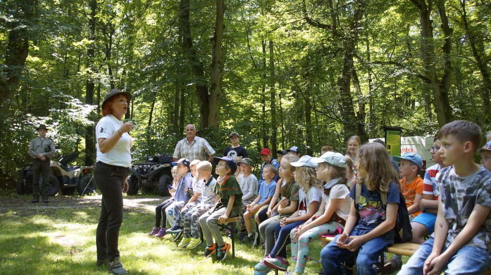 Fotograficzna przygoda z łowiectwem