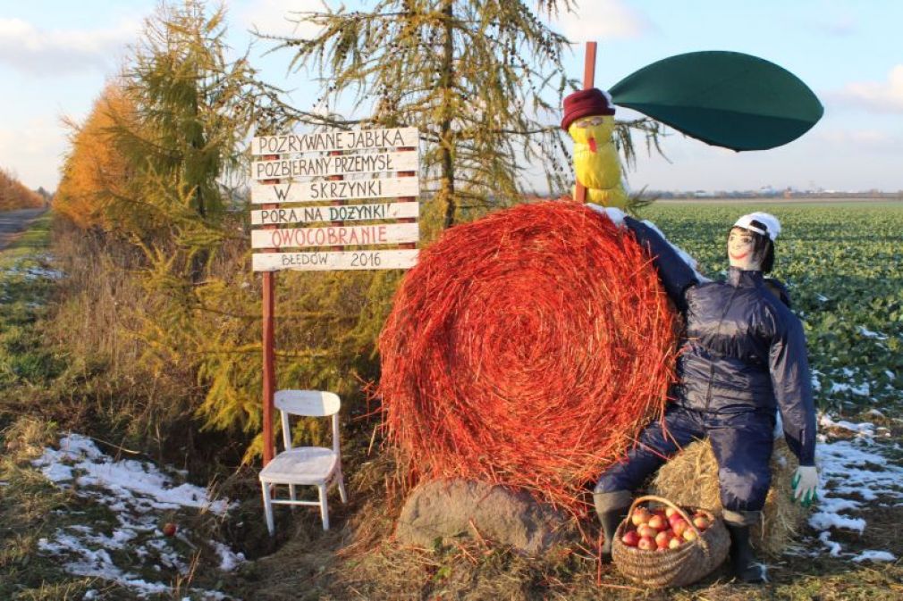 Owocobranie Błędów