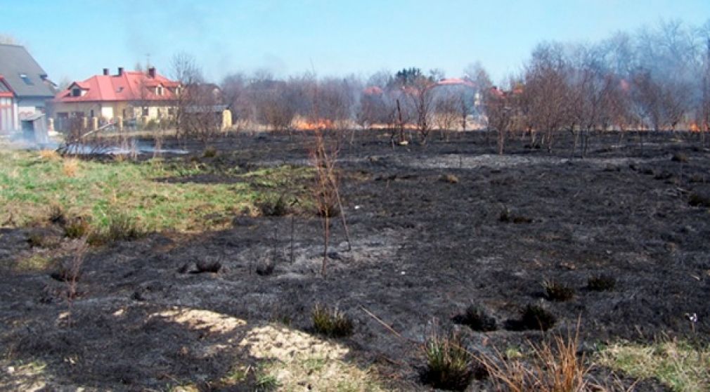 Płoną trawy. Strażacy walczą z ogniem.